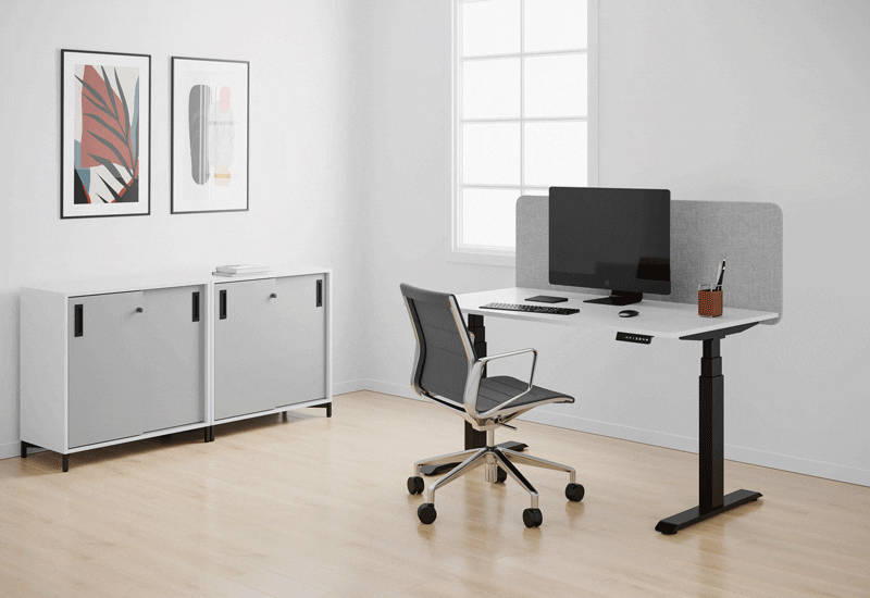 ELJ_Office_Government-01