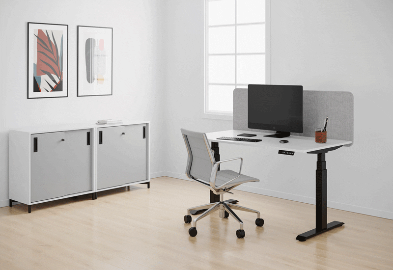 ELJ_Office_Government02