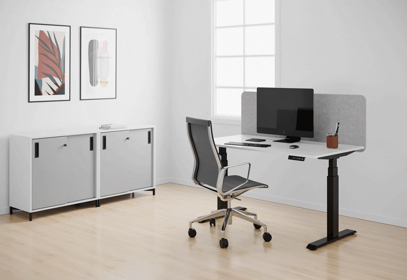 ELJ_Office_Government_01