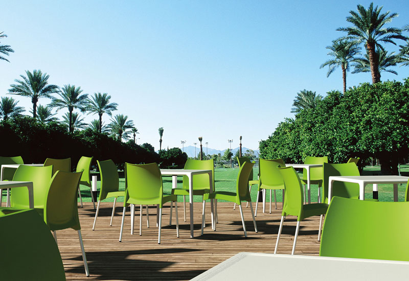 Mango_table_vit